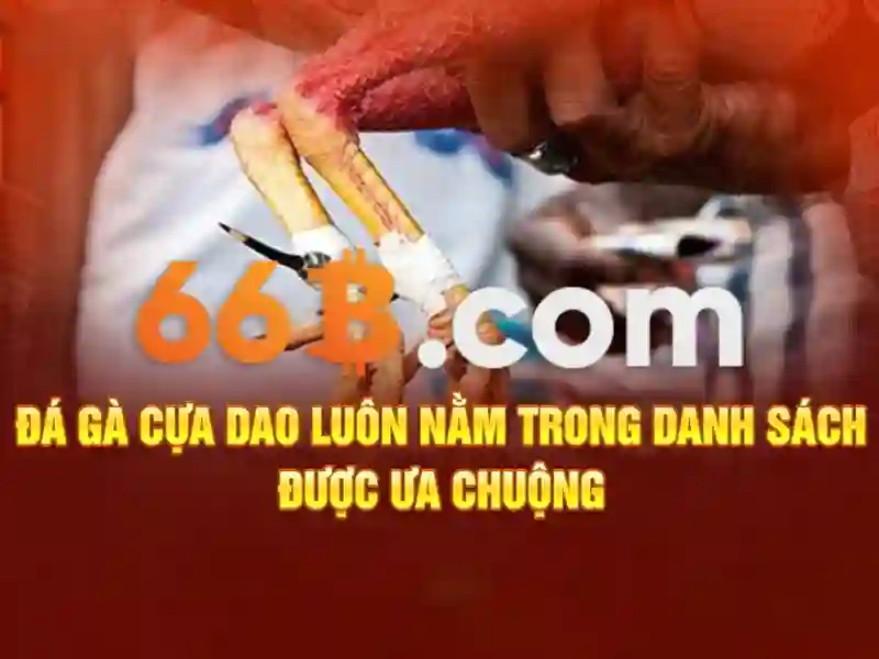 Các sản phẩm và dịch vụ cốt lõi của 66b cập nhật