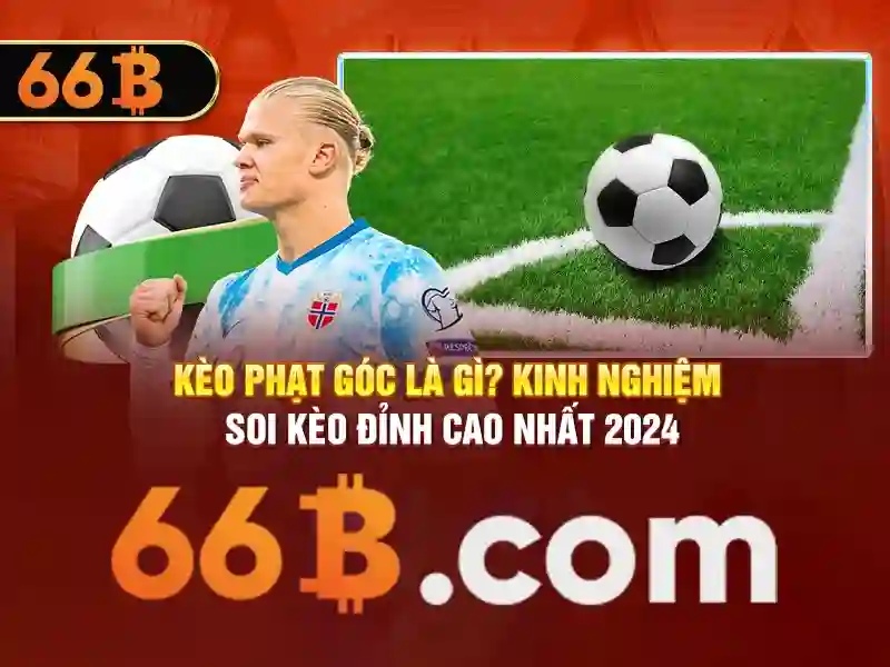 Tương lai của 66B
