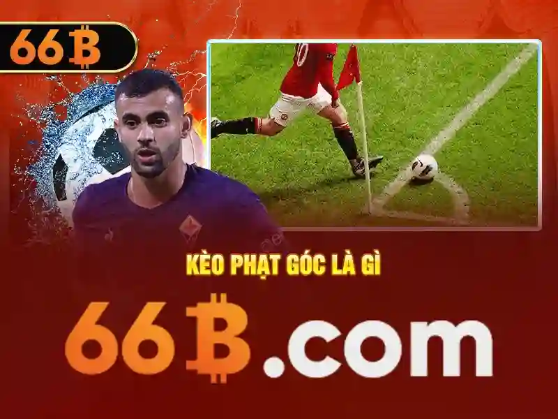 66b app – Tóm tắt chủ đề và giá trị cốt lõi