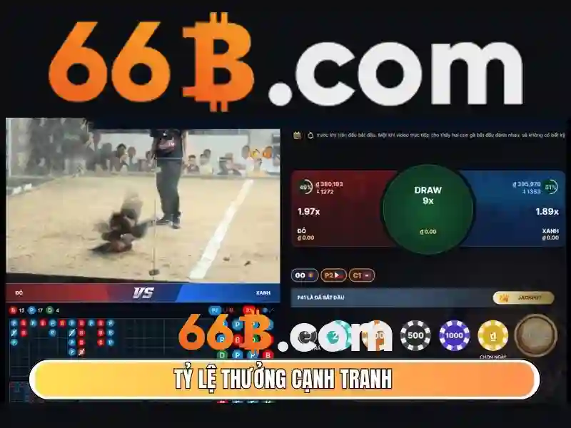 Nguồn gốc và sứ mệnh của 66b of the b