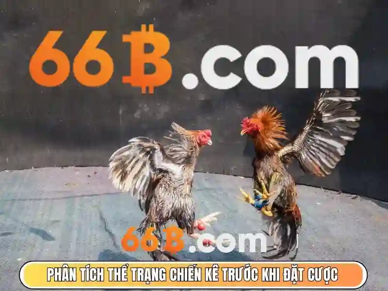 Ưu điểm và lợi thế cạnh tranh