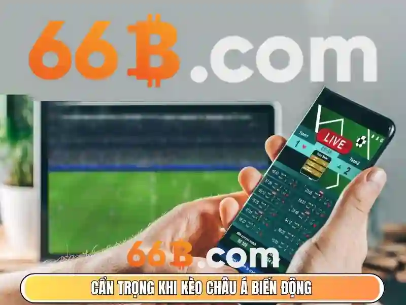 66B là gì