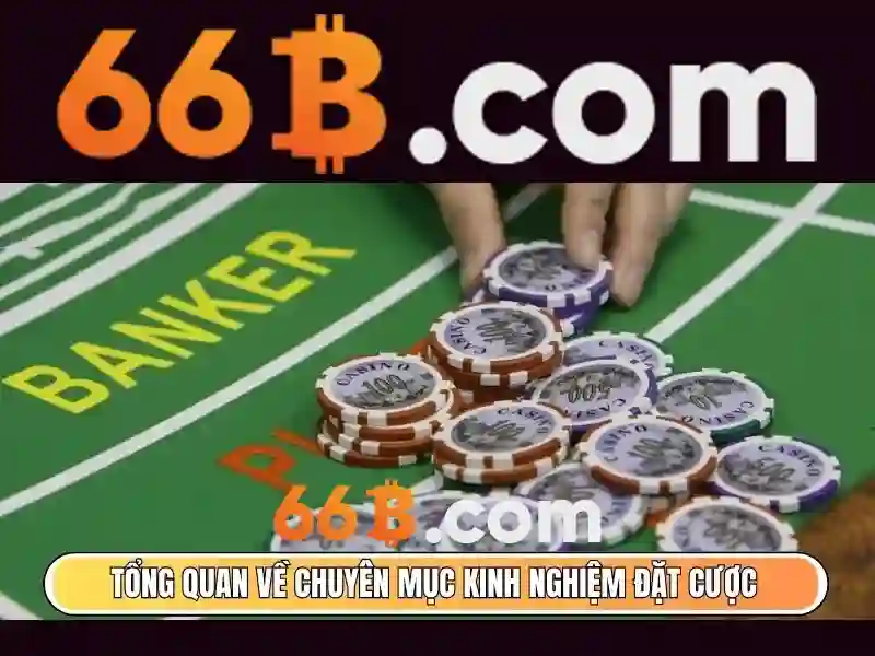 Phân tích hiệu suất và giới hạn