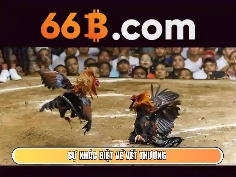 66b of the b – Nguon goc va su menh