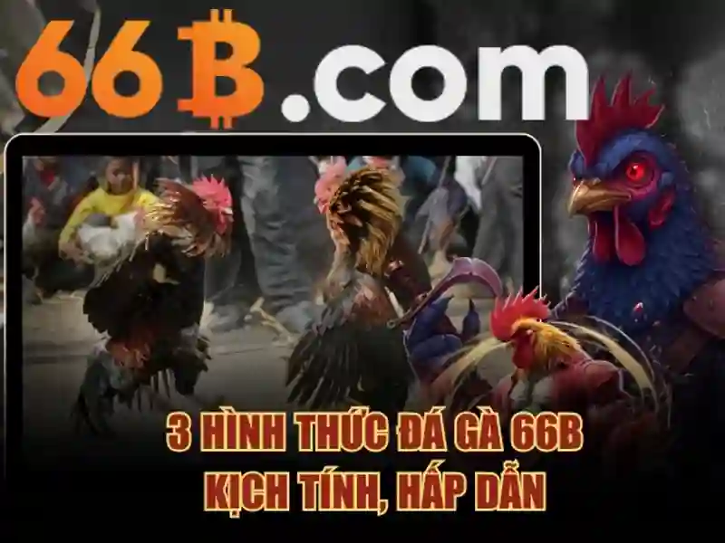 66B là gì?