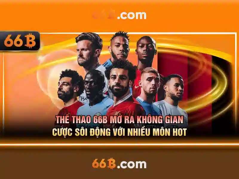 Kích thước và tham số của 66B
