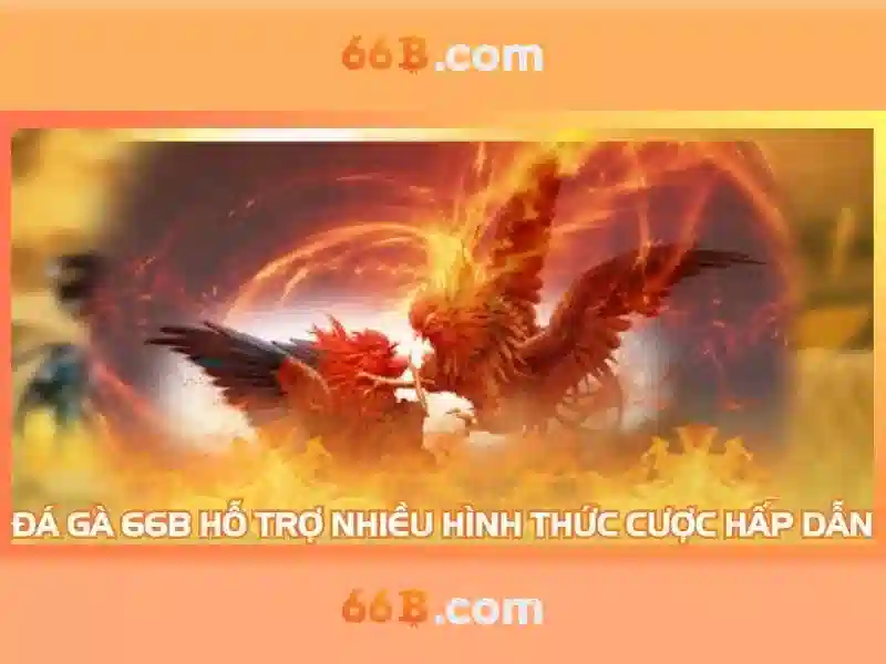 66b nguyễn sỹ sách phường 15, quận tân bình – Tổng quan và giá trị cốt lõi