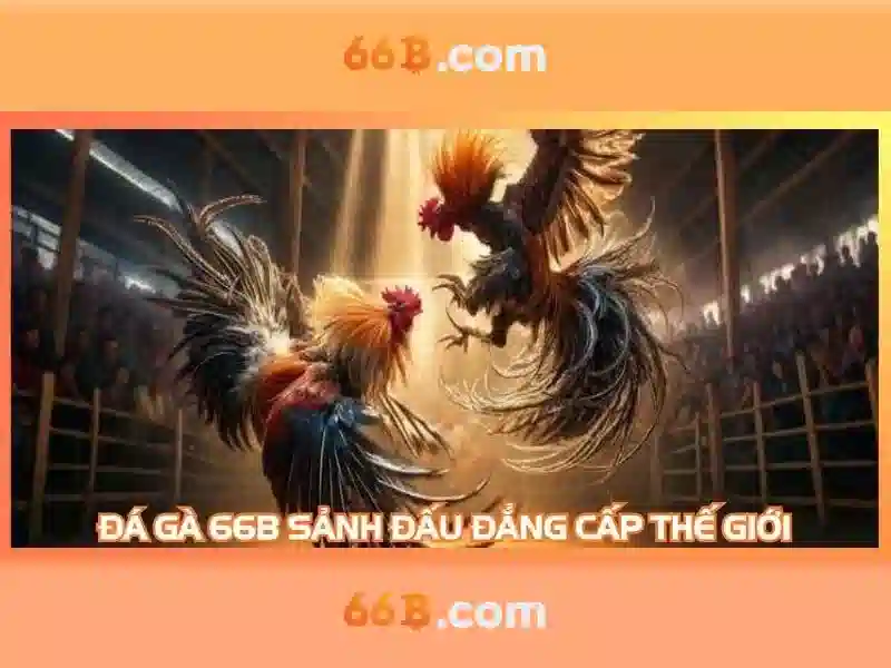 Việt Vị Trong Bóng Đá