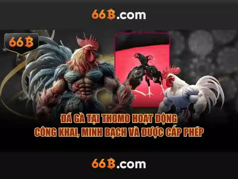 Kiến trúc và huấn luyện của 66b