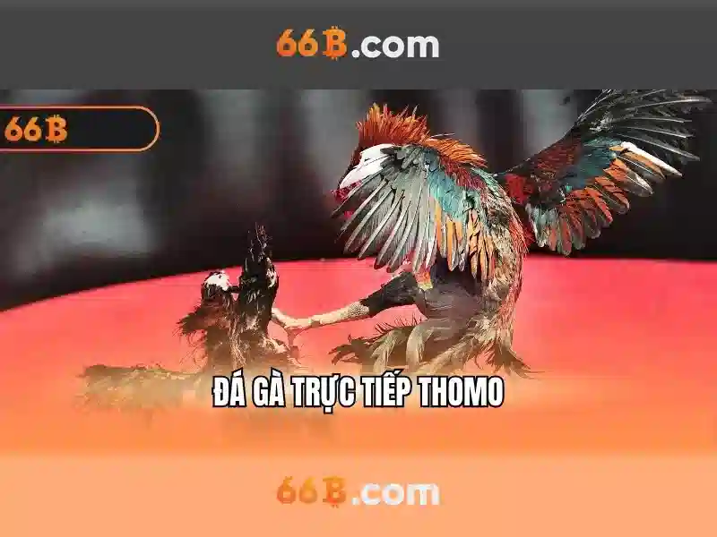 Việt Vị Trong Bóng Đá