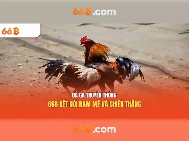 Ứng dụng và thị trường<p><span style=