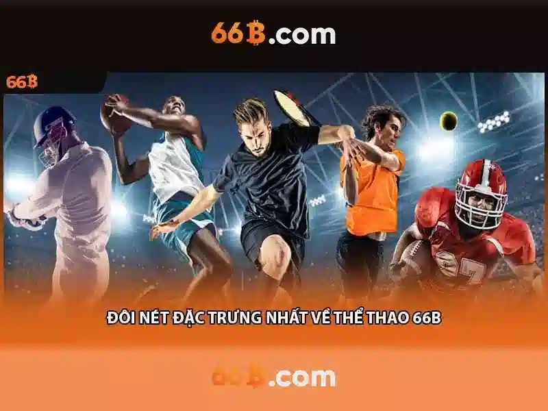 Tổng quan sân 66b triều khúc