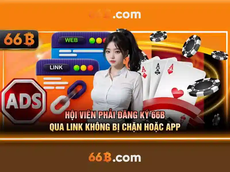 Thách thức và quan ngại đối với 66b