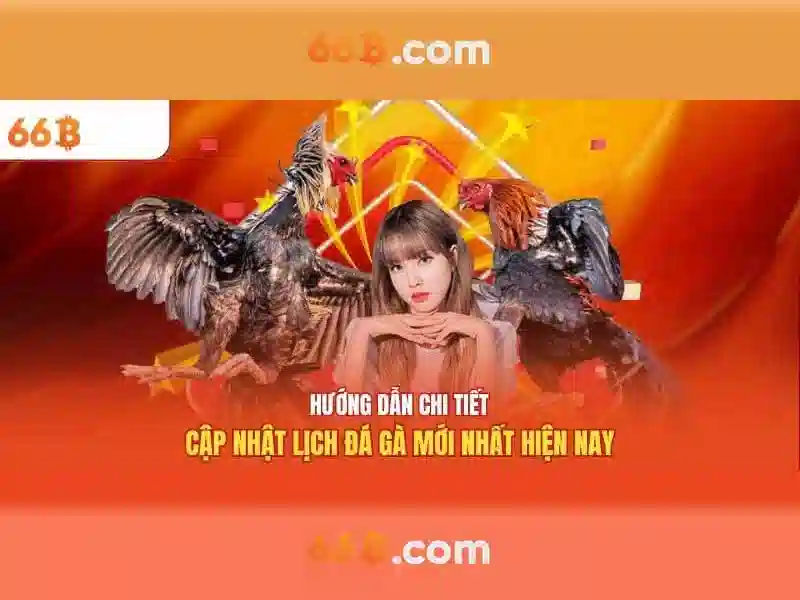 Kiến trúc của 66B
