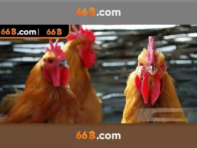 Đặc điểm kỹ thuật của 66b