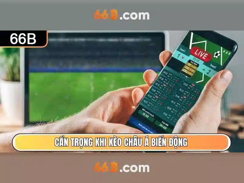 Khái niệm cơ bản của 66b