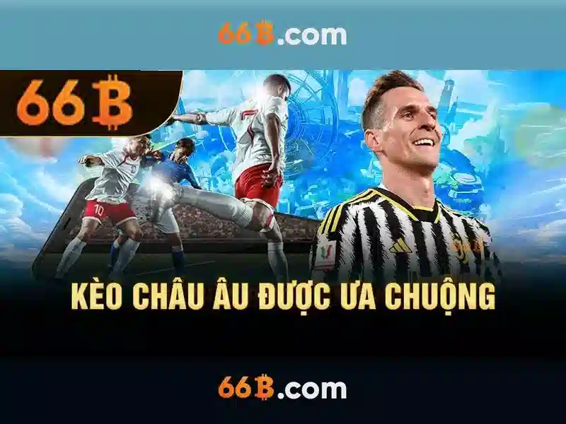 66b trong thiết kế và đời sống số