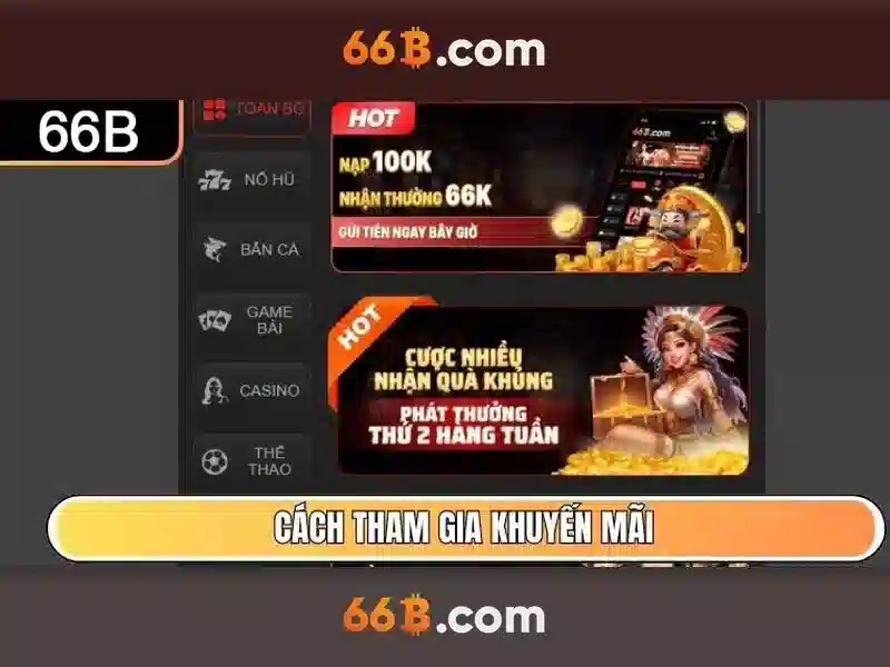 66b: định nghĩa và quy mô