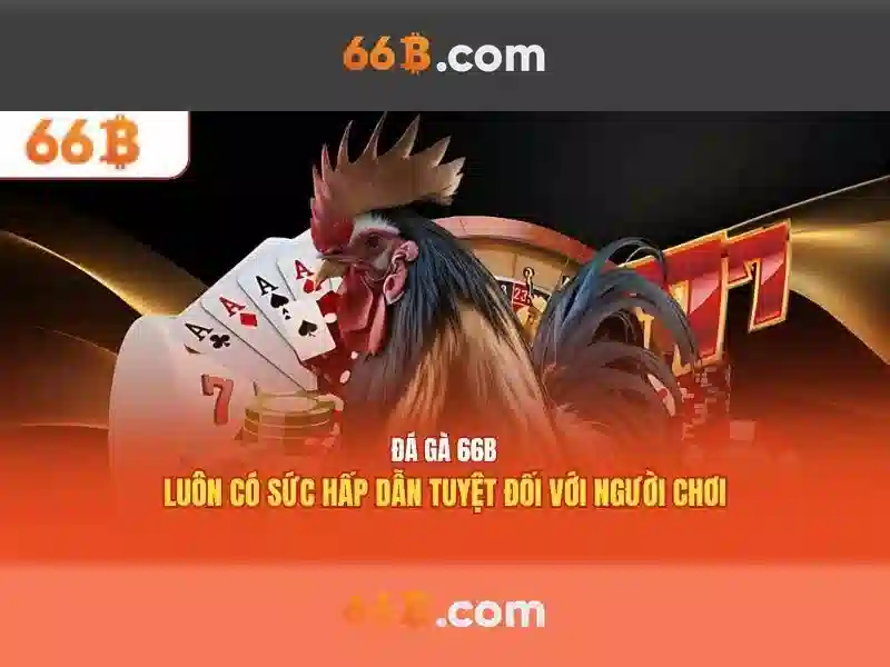 So sánh 66B với các mô hình khác