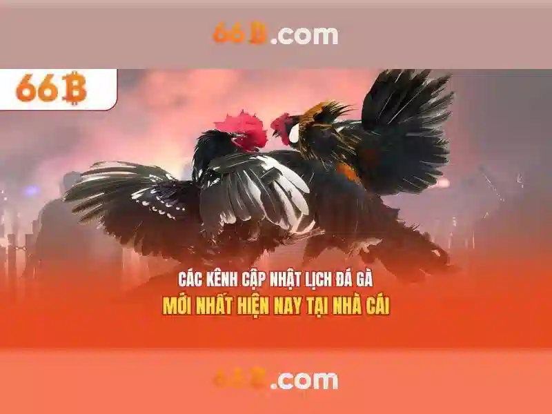 Ứng dụng và thách thức của 66B\n<h>So sánh và tương lai của 66B với các mô hình tương tự</h>\n<p><span style=