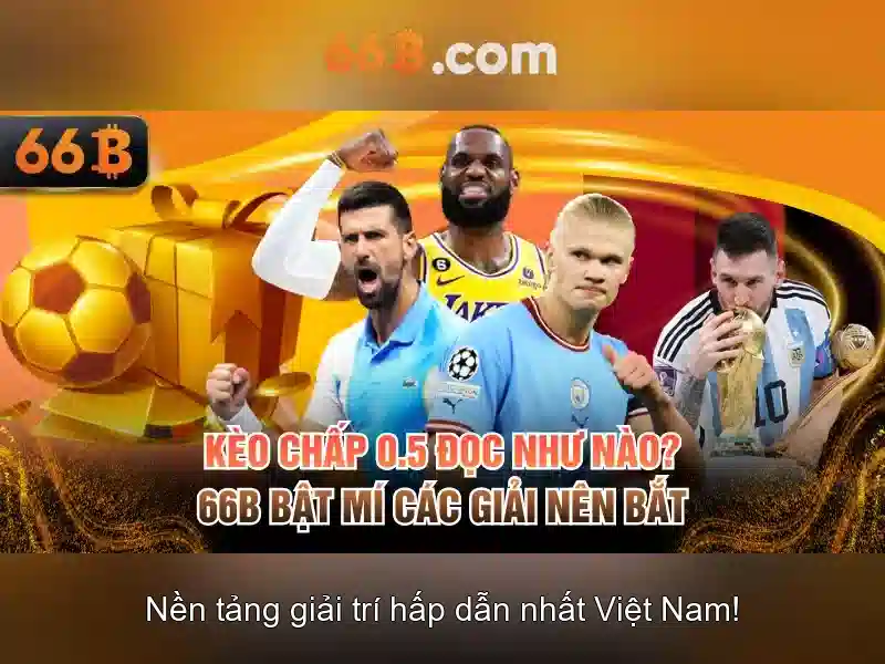 Đặc điểm chính của 66B