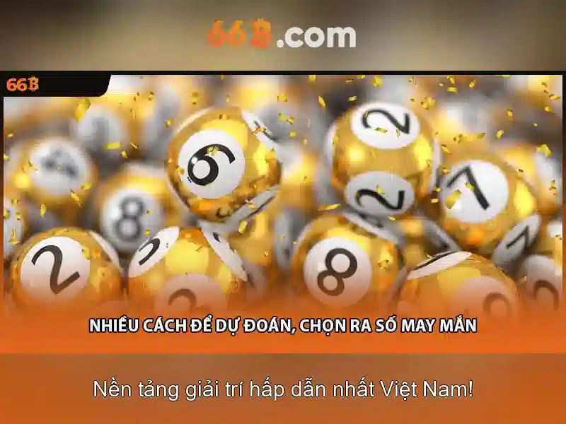 66B là gì?