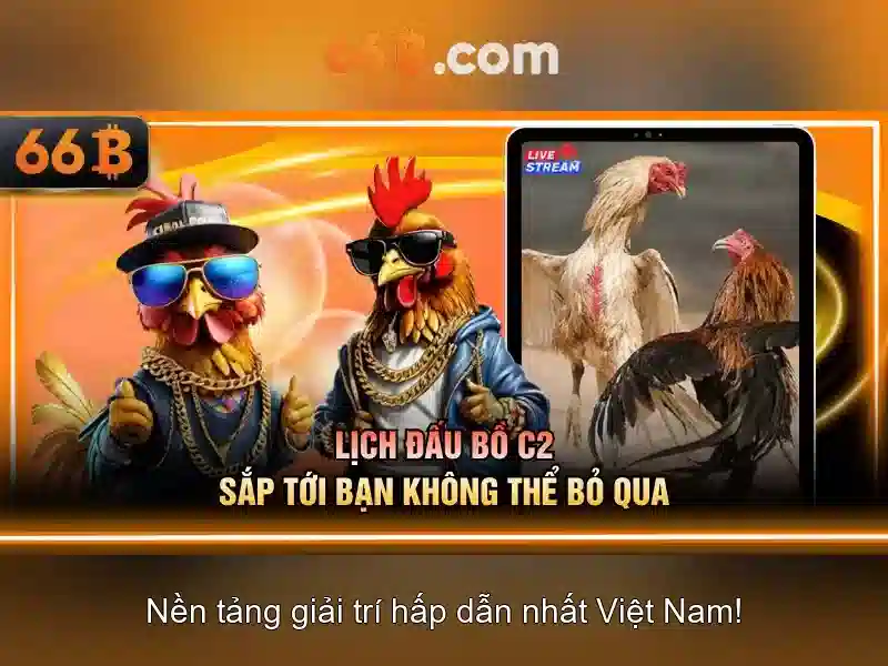Kích thước và kiến trúc
