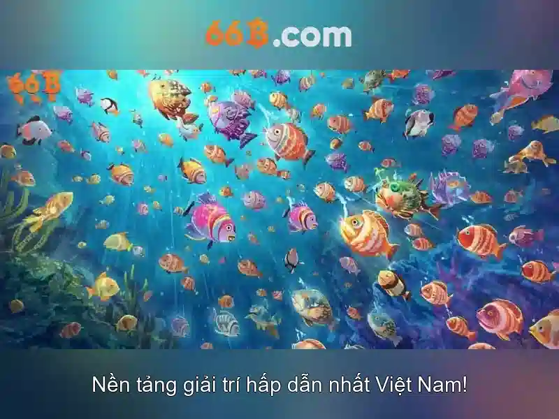 Giới thiệu về 66b