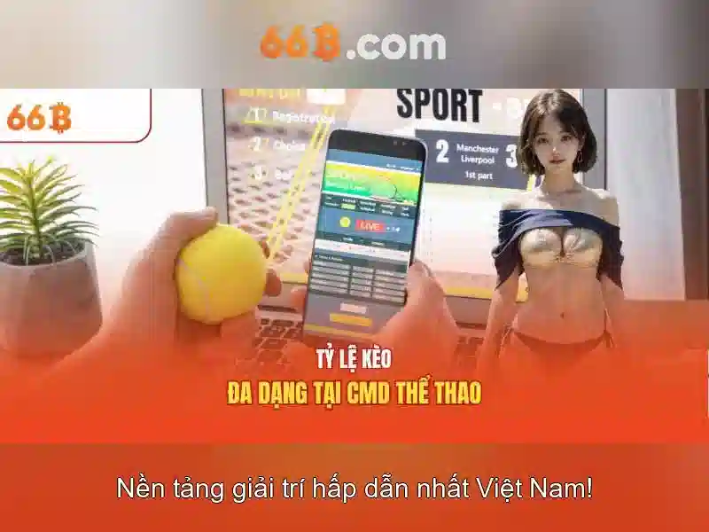 66B là gì