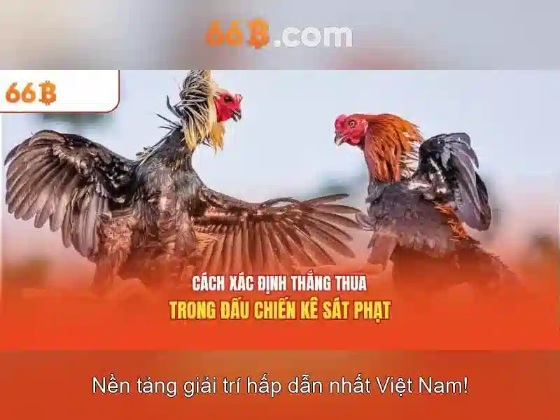 Bull Bull trực tuyến