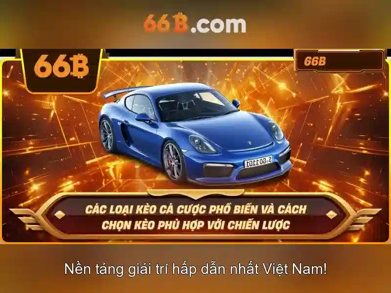 Cấu trục tổng quan của 66b