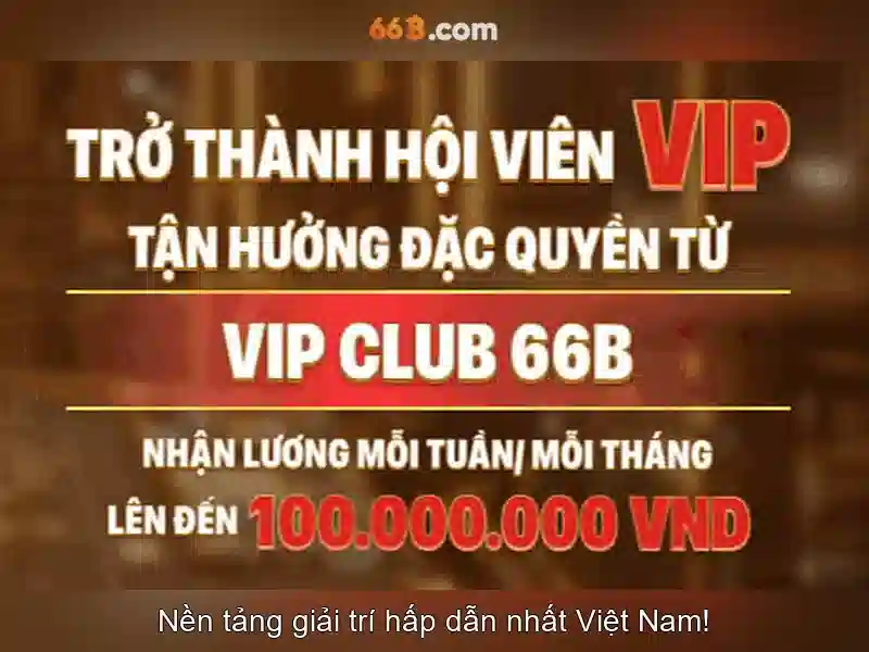 Trải nghiệm người dùng và phản hồi cộng đồng