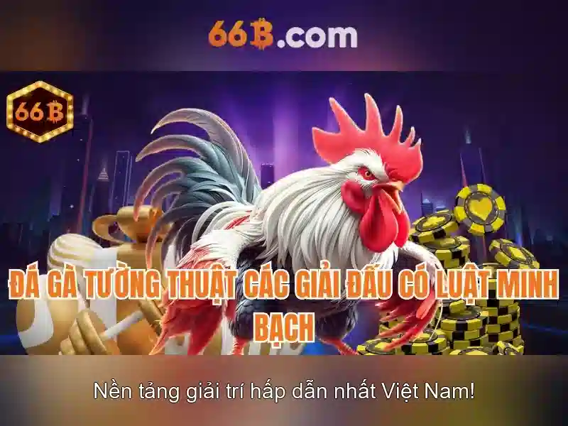 66b là gì và tại sao quan trọng
