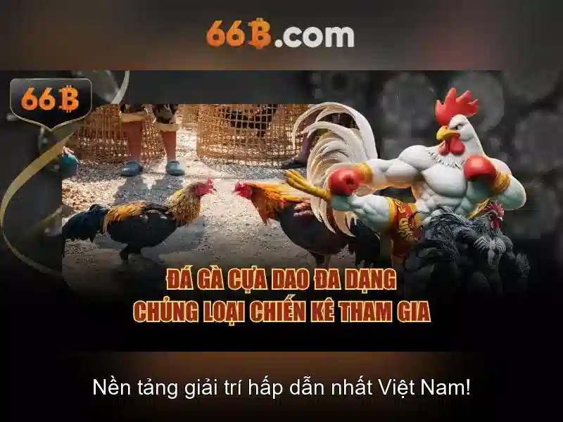 Kết luận