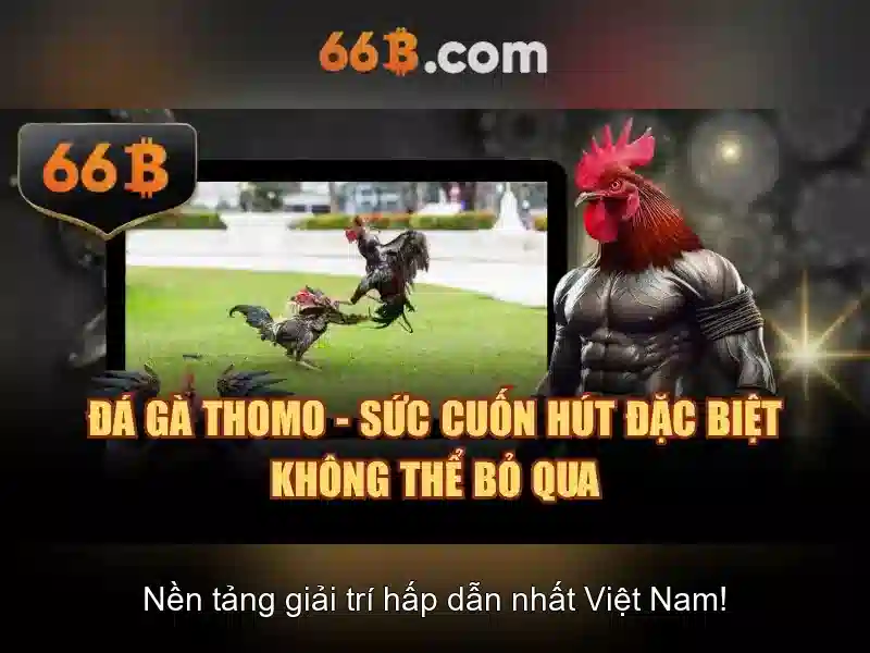 66b nguyễn thi sách – tổng quan chủ đề và giá trị cốt lõi