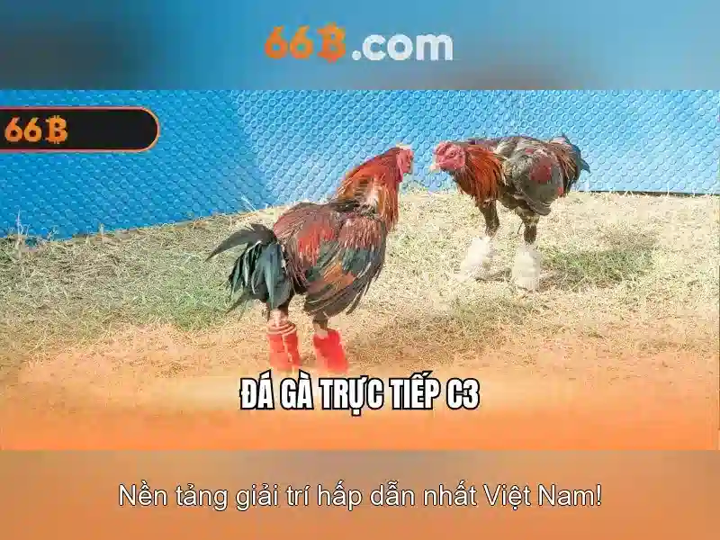 Tình huống thực tiễn và ví dụ về 66b