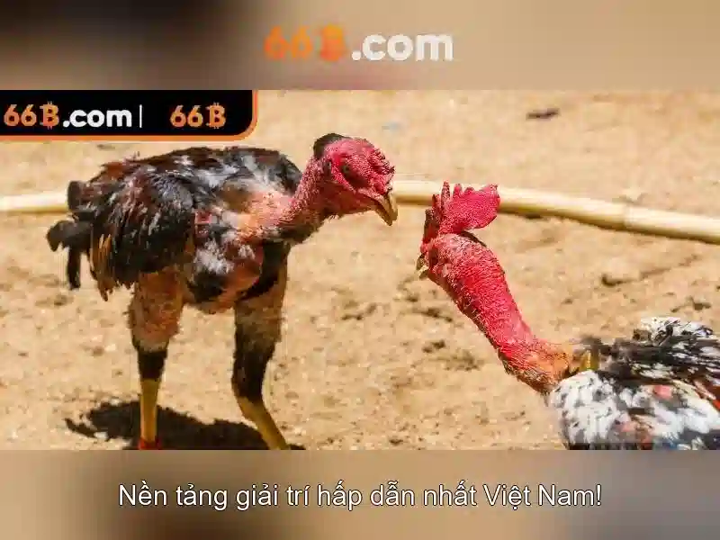 Triển vọng tương lai