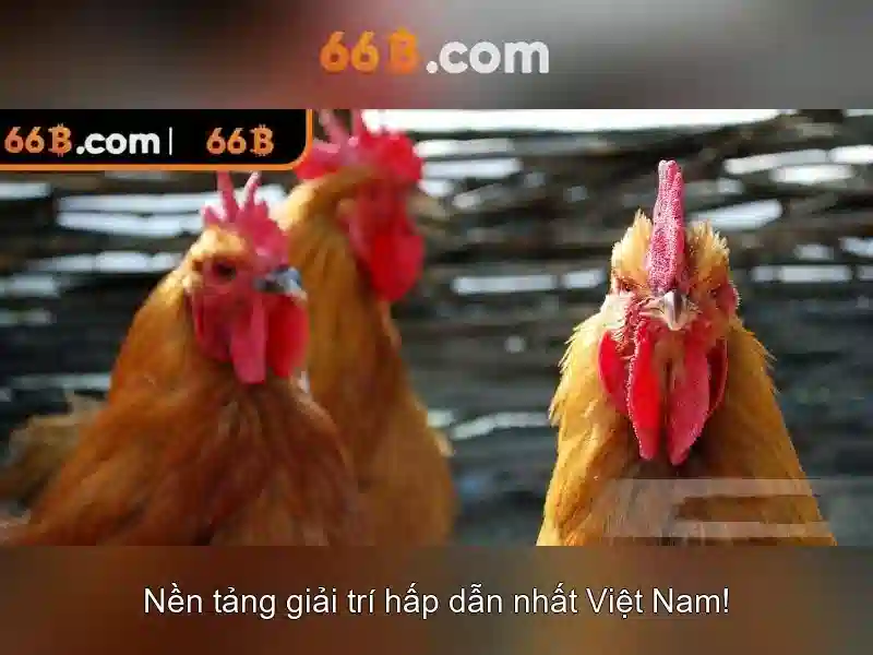 Ứng dụng tiềm năng và thách thức