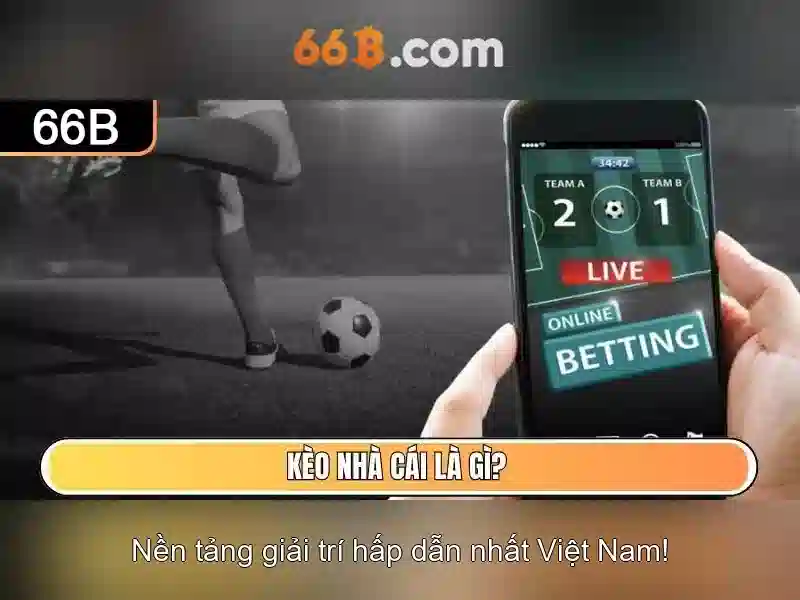 66b: một mô hình ngôn ngữ lớn cho đại chúng