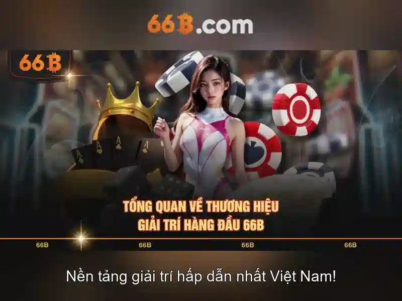 Ứng dụng của 66b trong doanh nghiệp và xã hội