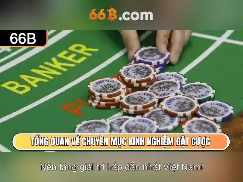 66b trong thiết kế và văn hóa số