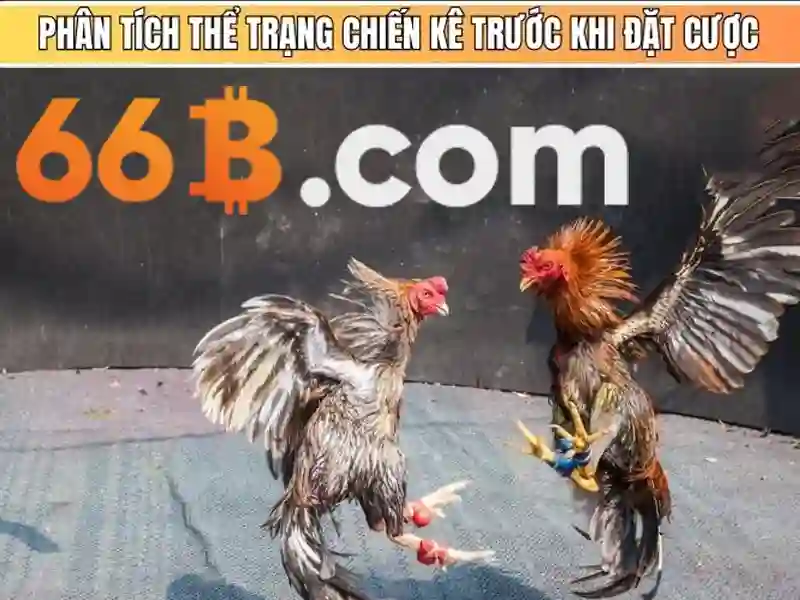 Ưu và nhược điểm