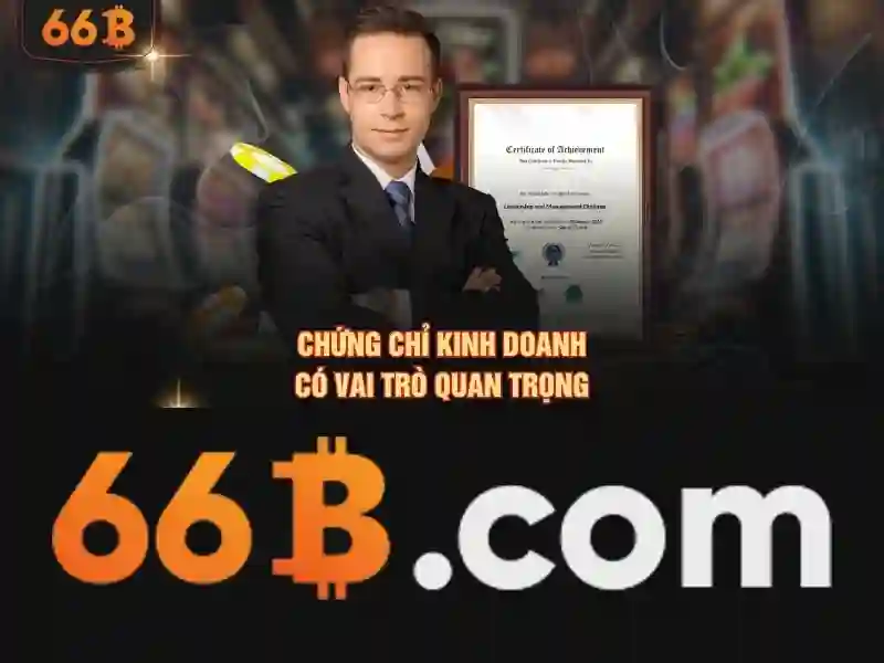 66b là gì trong CNTT