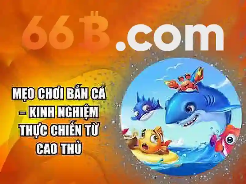 tài khoản 66b – Giới thiệu và hành trình phát triển