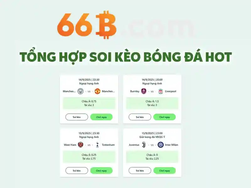 Kiến trúc của 66b