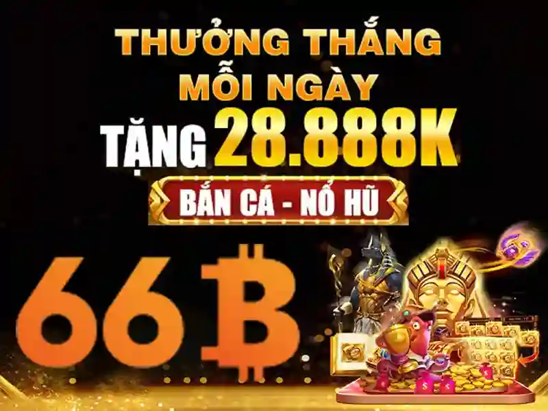 Cấu hình và tham số
